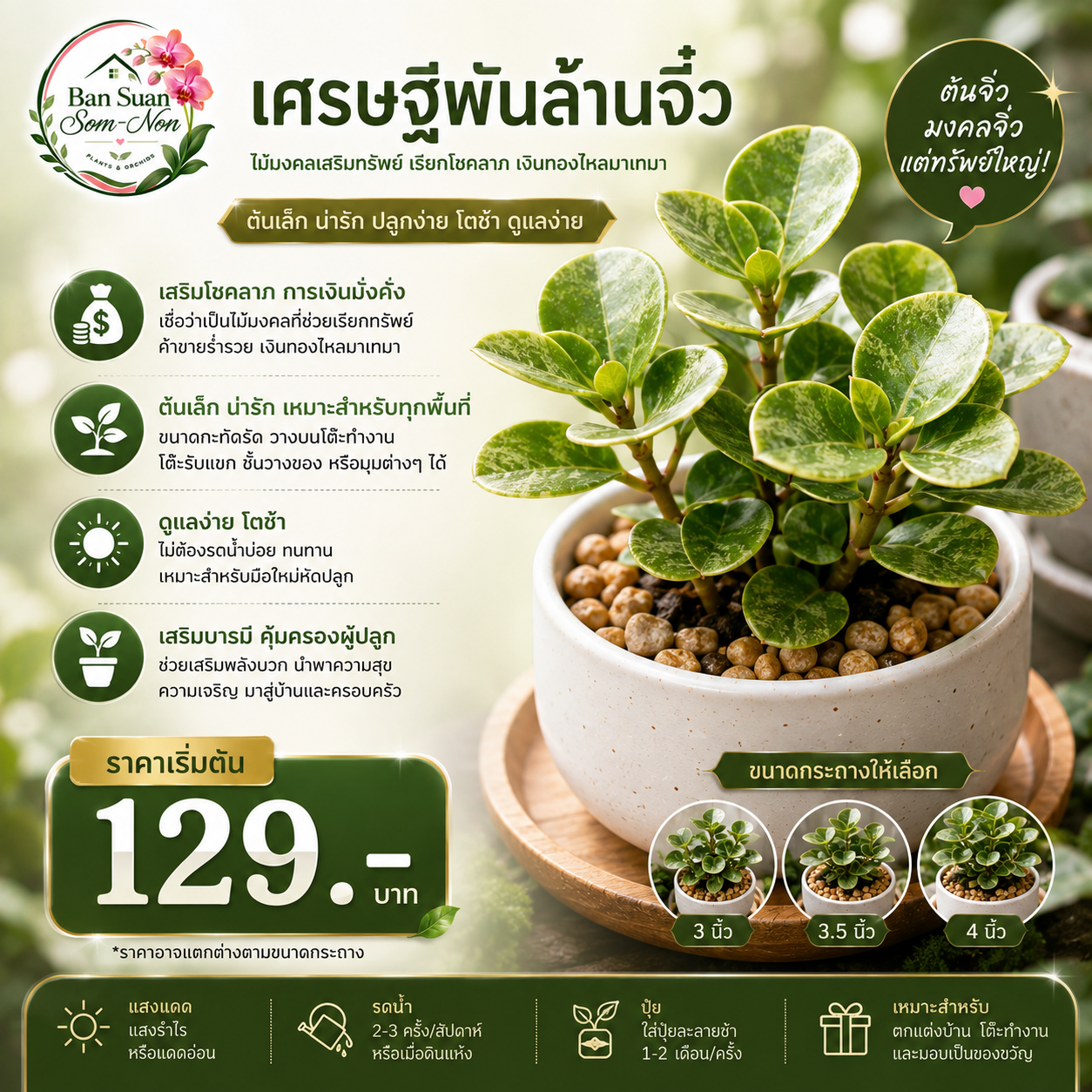 เศรษฐีพันล้านจิ๋ว